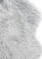 148694ab55a45c16ed3d8032bb2f67b5
