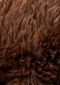Alaska Skóra0012.jpg