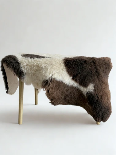Skóra naturalna dekoracyjna Rugs