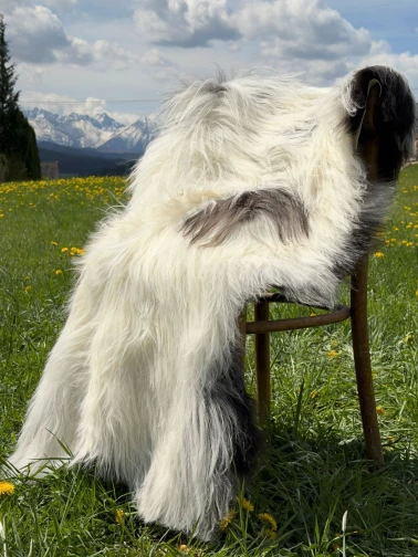 Skóra naturalna dekoracyjna Decor