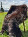 skora dekoracyjna III.jpg